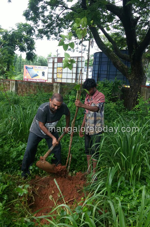 greening Mangaluru 1